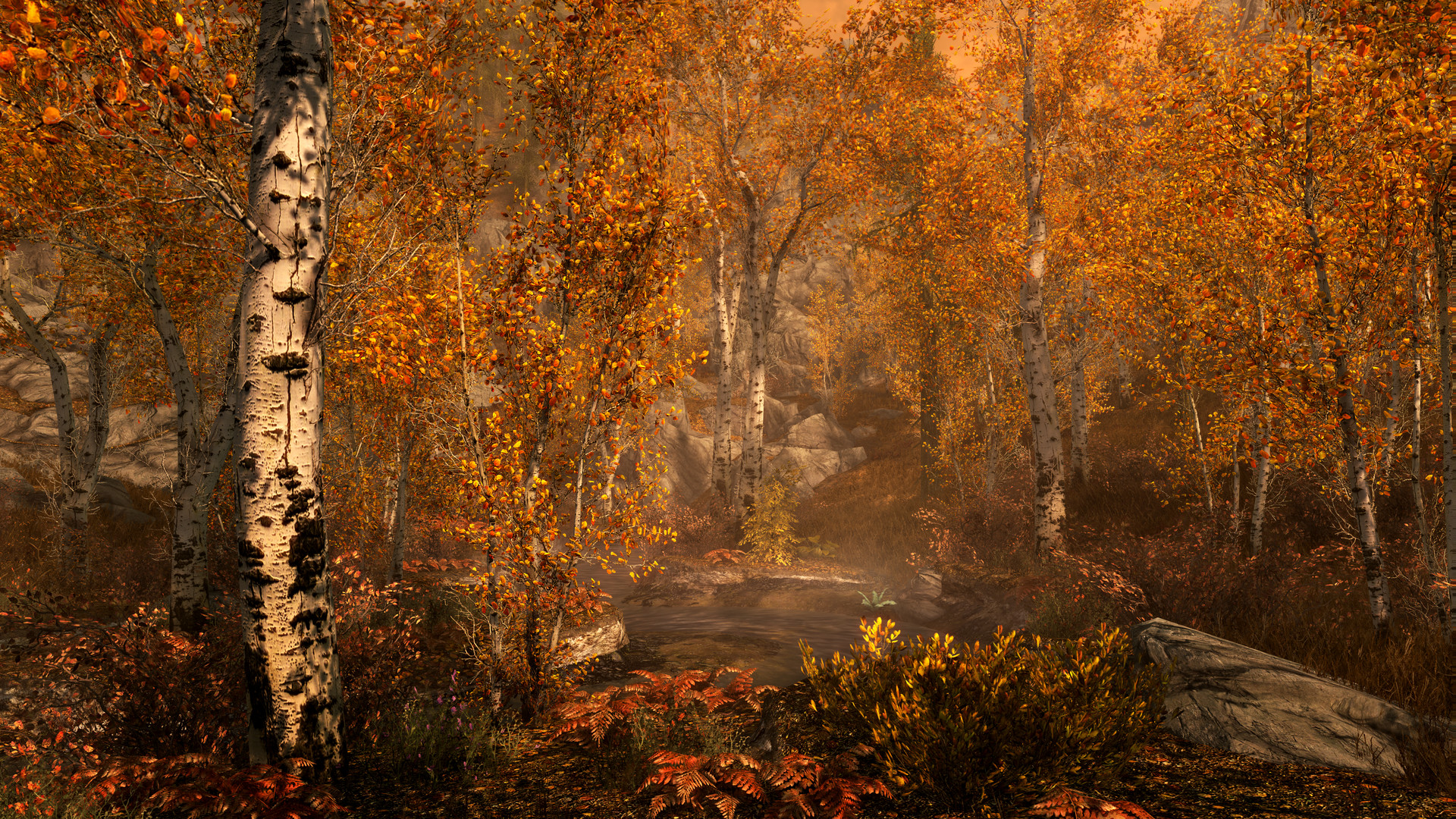 Skyrim Special Edition gameplay still
