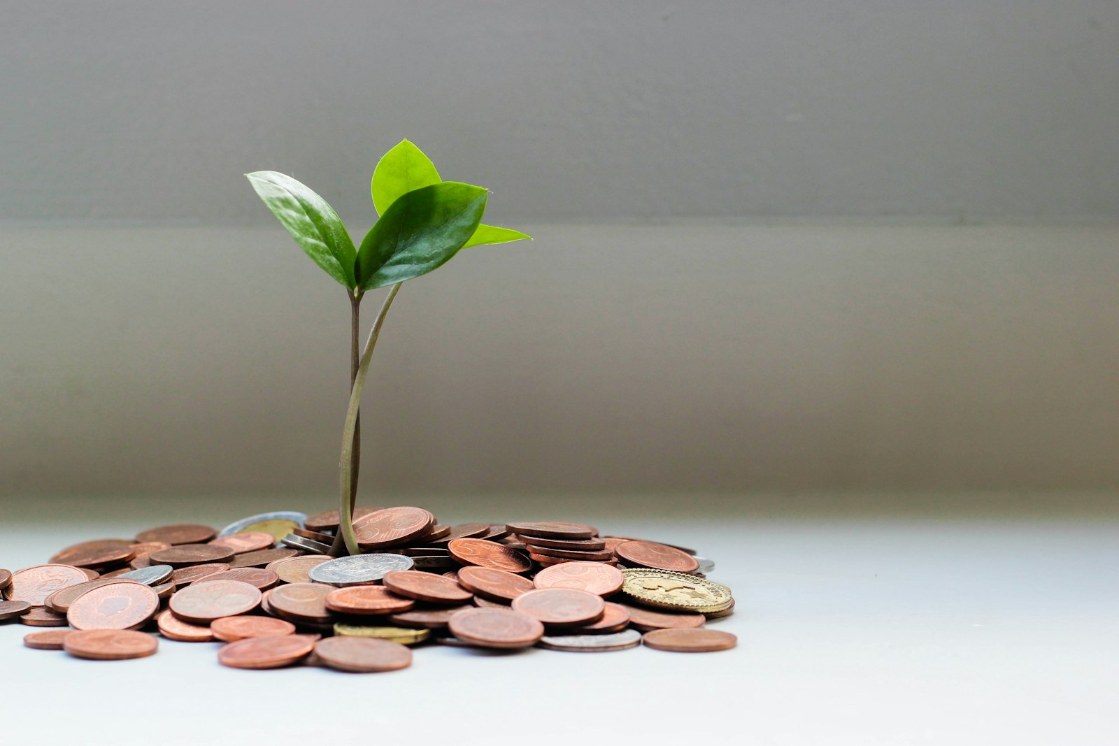 August 7 jobs print: the Friday morning playbook for TA