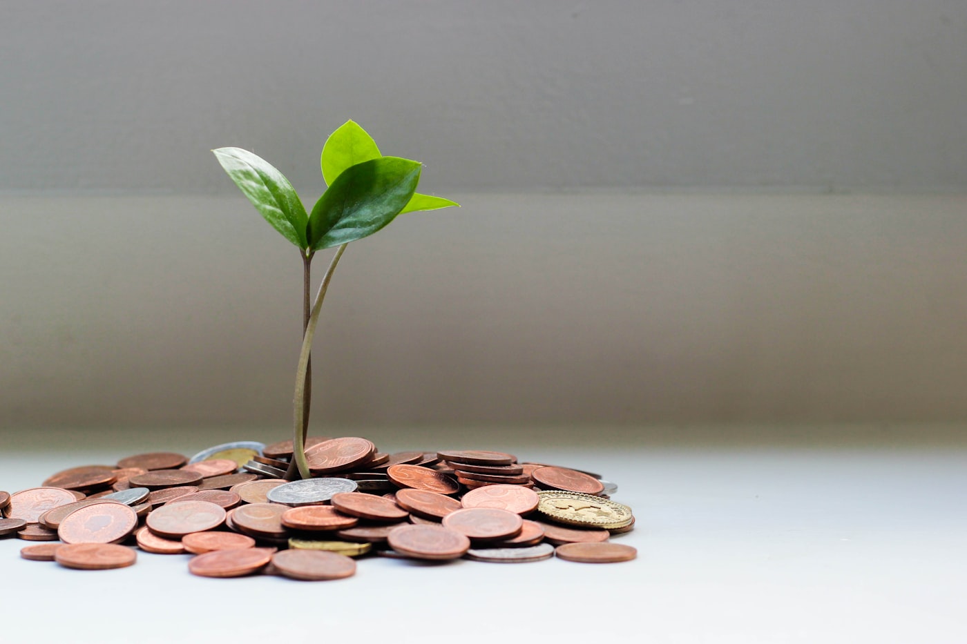 Coins and budgeting still life